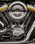 Harley Davidson Gray Ghost Fatboy - AED 180,000.00